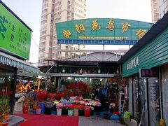 -曲阳花鸟市场(曲阳路店)