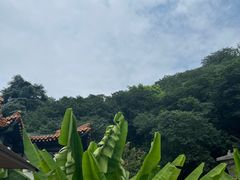 -临江·阅炉