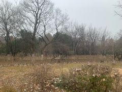 -南山风景名胜区