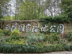 -西溪国家湿地公园