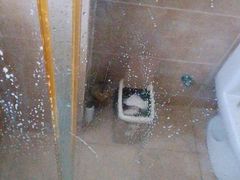 -重庆轻喜到家家政保洁