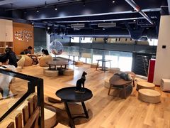 用餐区-瞄一喵猫咖(格力海岸店)