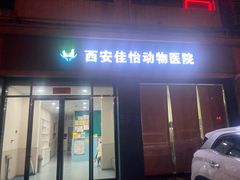 -佳怡动物医院·平价24小时·猫专科骨外科