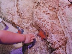 -沈阳海洋探索中心