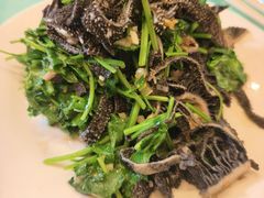 -大顺堂食府(牛街店)
