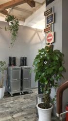 -青禾造型&刺青