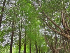 -广东外语外贸大学(白云山校区)