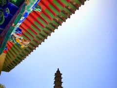 -云顶山风景区
