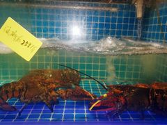 -阿湾楼·温州海鲜·江浙菜(京江路店)