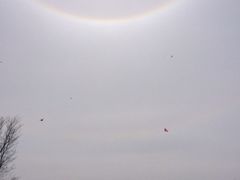 iphone_upload_pic-羊山湖公园