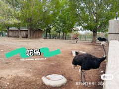 -大青山野生动物园