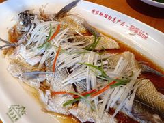 -丹江渔村(望京店)