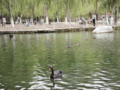 -水磨沟公园