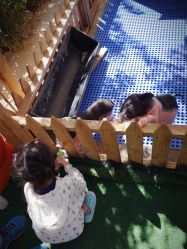 -萌宠亲子动物乐园(槐房万达店)