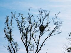 -漩门湾国家湿地公园