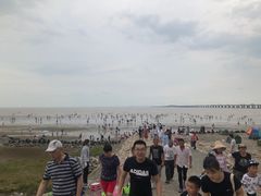 -南汇新城海滩