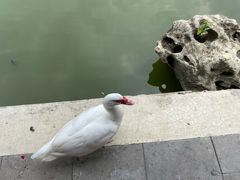 -宣武艺园