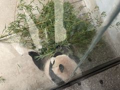 -杭州动物园