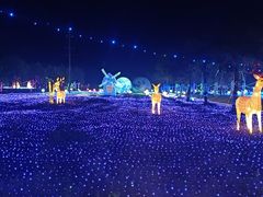 -广东花都香草世界旅游度假区