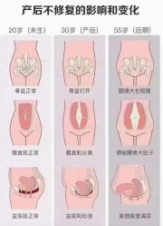 -昕孕瑜伽·孕妇瑜伽·产后修复
