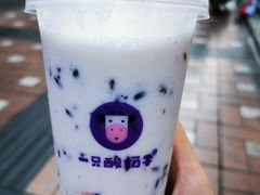 -一只酸奶牛(八一路店)