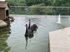 -行者书屋大堂吧 ·下午茶(南京圣和府邸酒店)