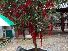 -太湖源风景区