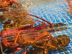 -东海怡品海鲜豆捞(星街坊店)