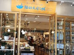 -猫的天空之城概念书店(束河店)
