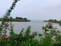 -碧桂园十里银滩