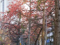 -烈士陵园(地铁站)