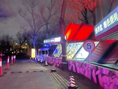 -枫花园汽车电影院(朝阳公园店)