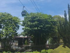 -圣淘沙天际线斜坡滑车