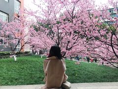 -黄桷坪涂鸦艺术街