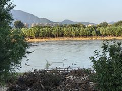 -永定河休闲森林公园