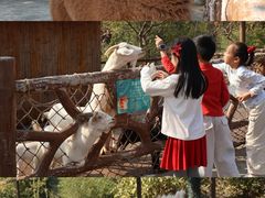 -佛冈森波拉度假区