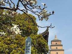 -大慈恩寺(大雁塔)