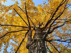 -浙江大学(玉泉校区)