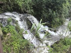 -南昌动物园