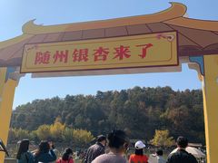 -千年银杏谷文化旅游区