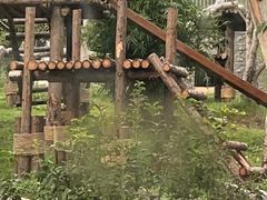 -武汉动物园