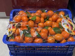 -江杨农产品批发市场