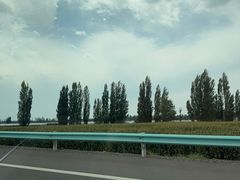 -伊犁河景区