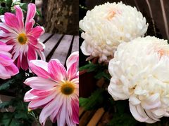 -共青国家森林公园-售票处