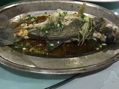 -东江湖游水三文鱼美食城