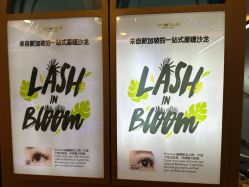 -Browhaus眉睫沙龙