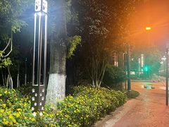 -成都保利公园皇冠假日酒店(熊猫基地店)