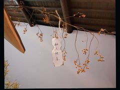 -竹子咖啡bamboo coffee