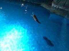 -湾景餐厅(海洋公园店)