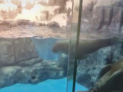 -大连圣亚海洋世界